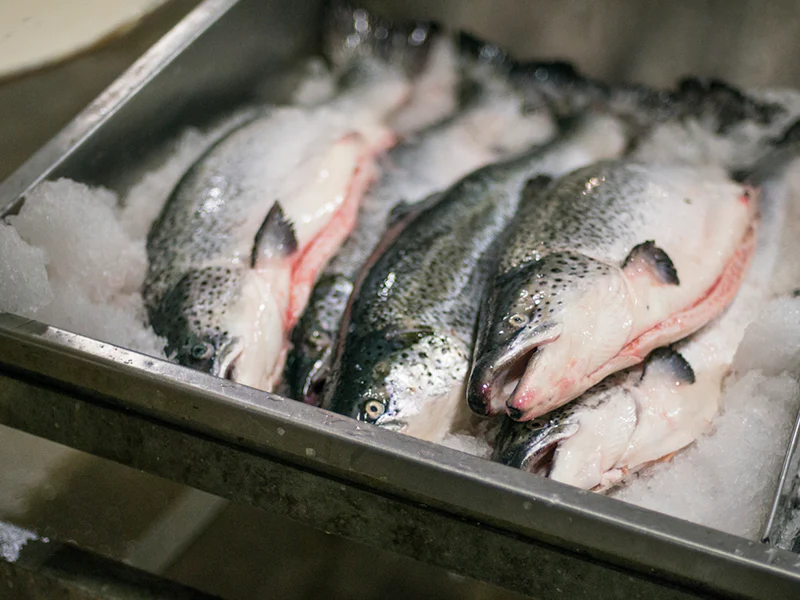 Fulton's Finest Atlantic Salmon Portion - 1ct - Image 7