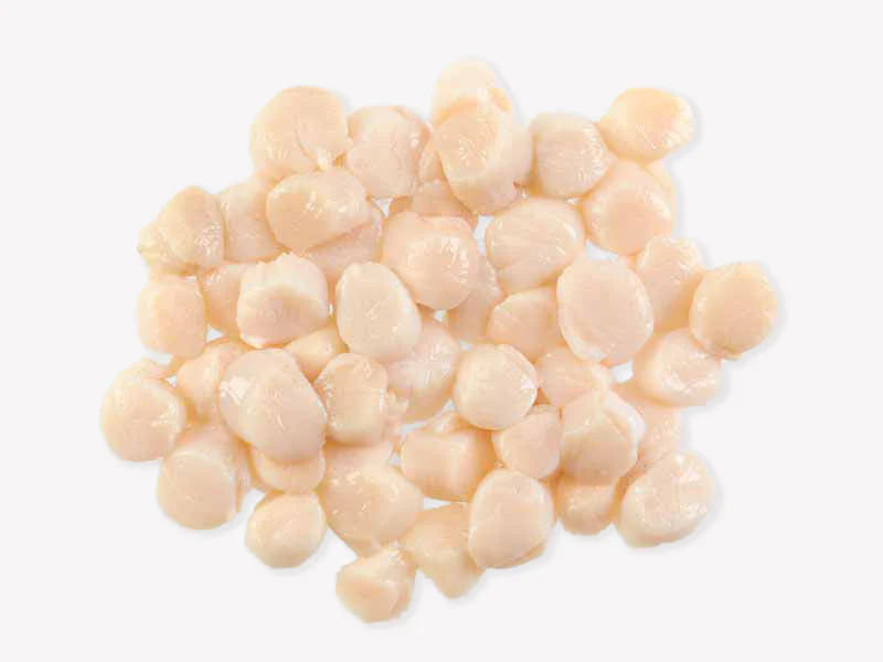 Fulton's Finest Wild Colossal Dry Sea Scallops - 1lb - Image 2