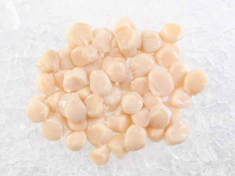 Fulton's Finest Wild Colossal Dry Sea Scallops - 1lb - Image 5