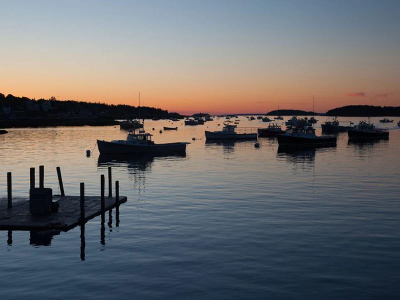 Medium Cold Water Wild Lobster Tails - 2ct - Image 3