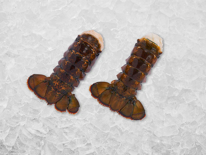 Medium Cold Water Wild Lobster Tails - 2ct - Image 2